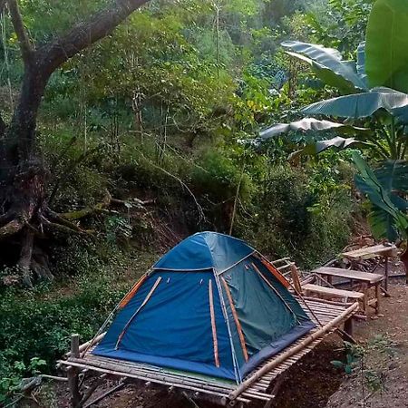 Hotel Camping Ground @ Eastdee Lidlidda Zewnętrze zdjęcie