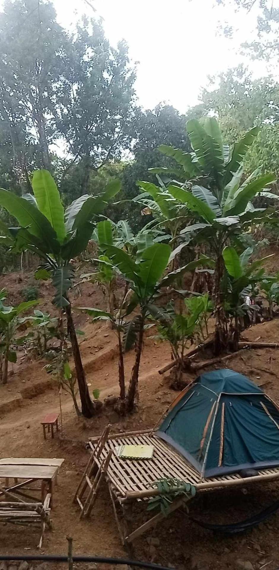 Hotel Camping Ground @ Eastdee Lidlidda Zewnętrze zdjęcie