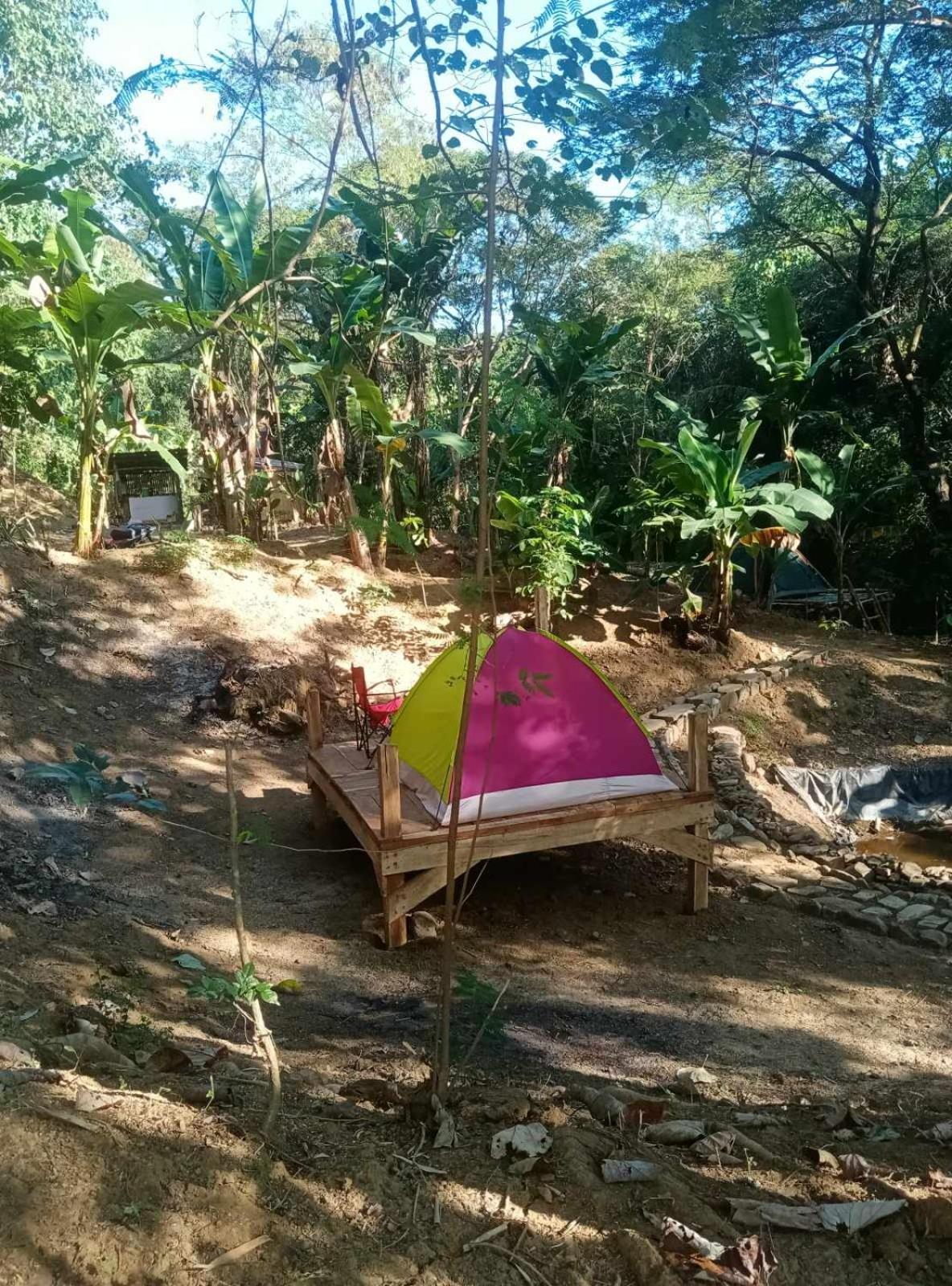 Hotel Camping Ground @ Eastdee Lidlidda Zewnętrze zdjęcie