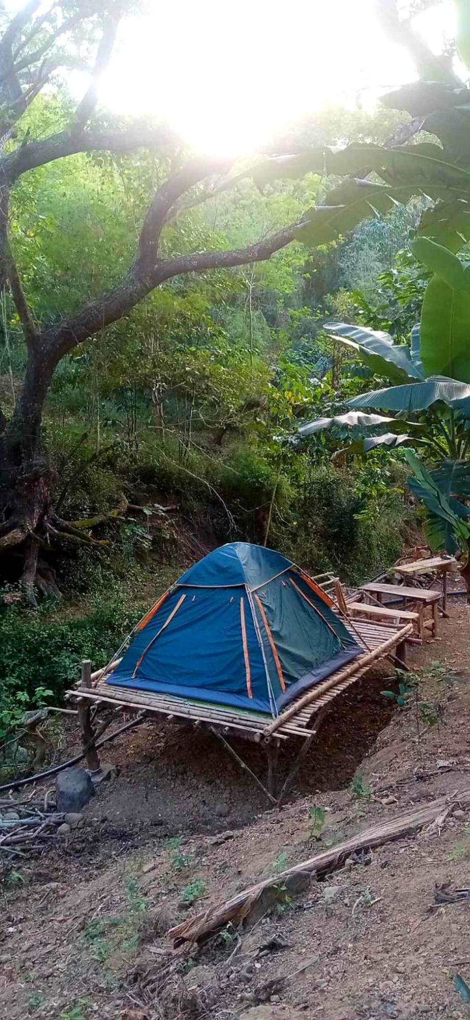 Hotel Camping Ground @ Eastdee Lidlidda Zewnętrze zdjęcie