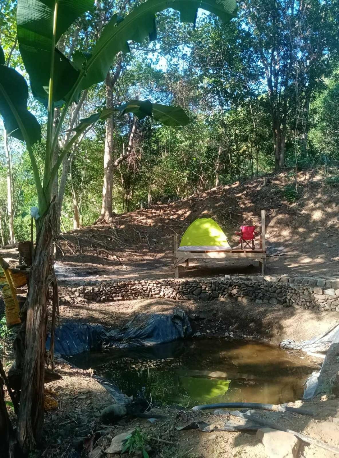 Hotel Camping Ground @ Eastdee Lidlidda Zewnętrze zdjęcie