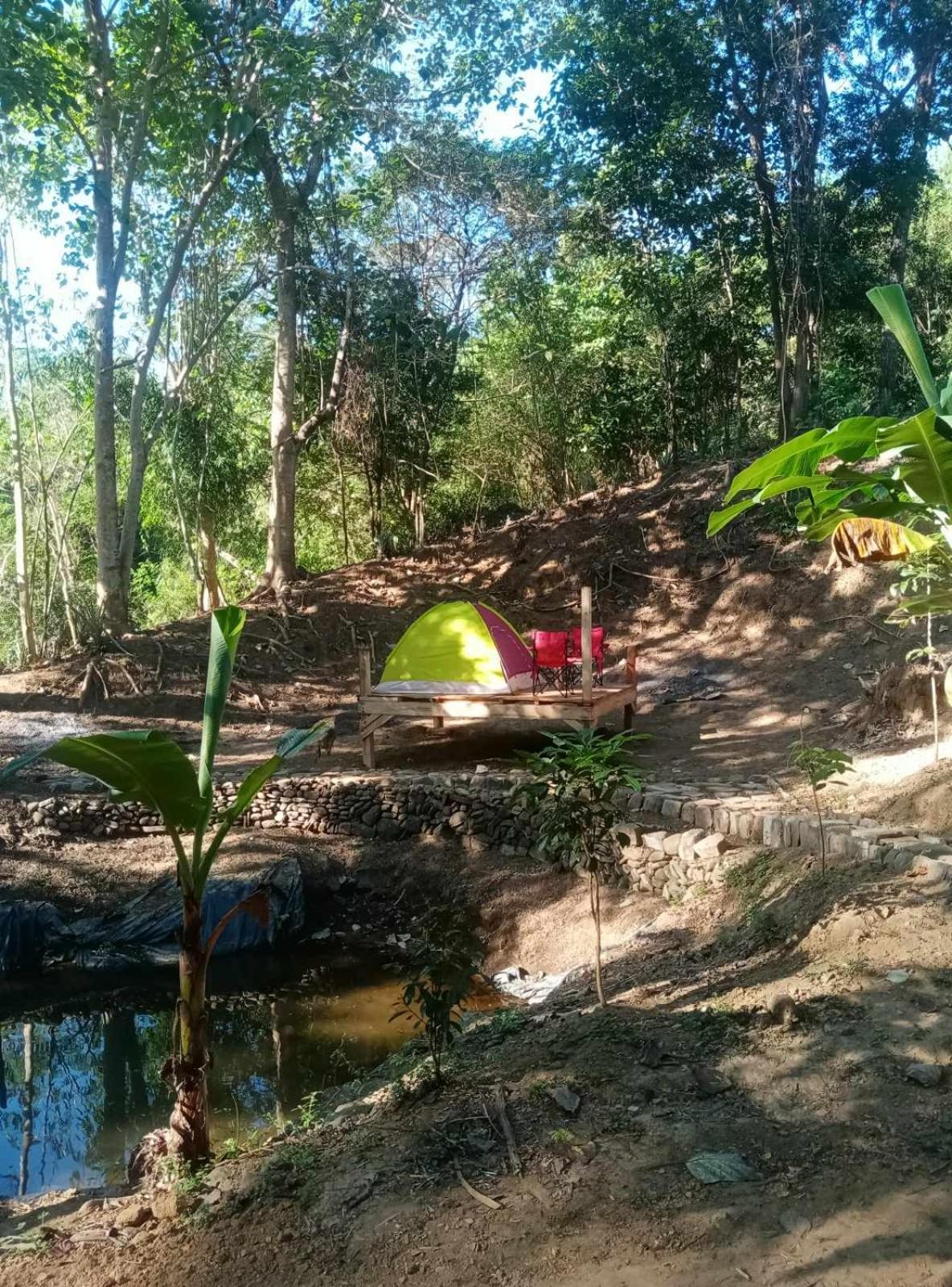 Hotel Camping Ground @ Eastdee Lidlidda Zewnętrze zdjęcie